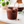 Copinho de Cookie Sabor Cacau 68g - 1 unidade